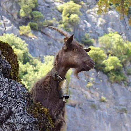 Charming In - 38 M² - Parking 卡拉赛达