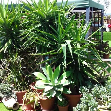 Charming In - 38 M² - Parking * Calasetta