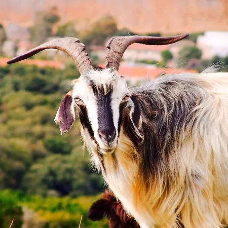 Appartement Charming In - 38 M² - Parking *