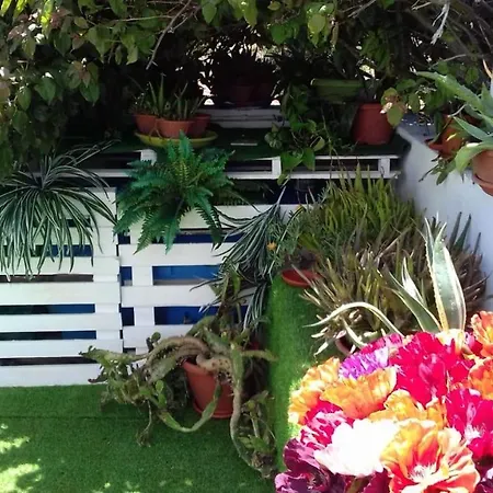 Appartement Charming In - 38 M² - Parking