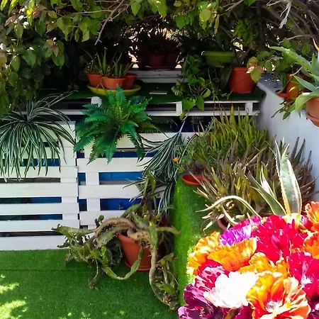 Apartment Charming In - 38 M² - Parking