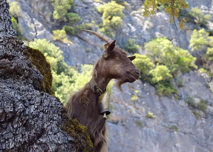 Charming In - 38 M² - Parking 卡拉赛达