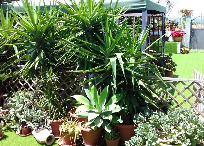 Charming In - 38 M² - Parking * 卡拉赛达