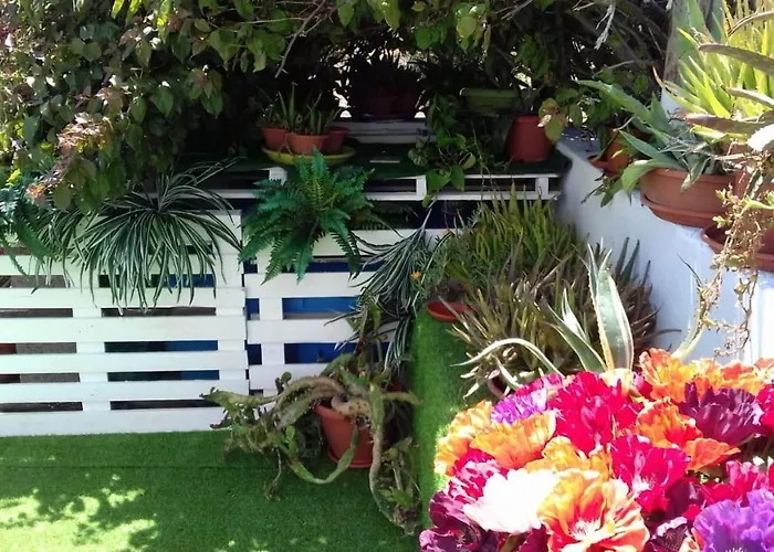 公寓 Charming In - 38 M² - Parking